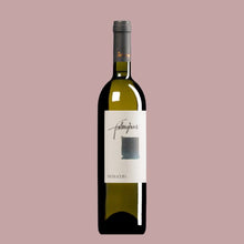 Afbeelding in Gallery-weergave laden, PIETRACUPA CAMPANIA FALANGHINA IGT 2022