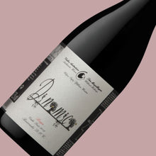 Afbeelding in Gallery-weergave laden, FILIPA PATO BAIRRADA DINAMICA TINTO 2023
