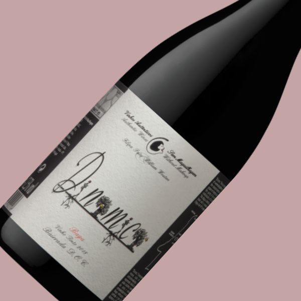 FILIPA PATO BAIRRADA DINAMICA TINTO 2023