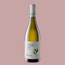 Afbeelding in Gallery-weergave laden, BELISARIO VERDICCHIO DI MATELICA VALBONA 2023