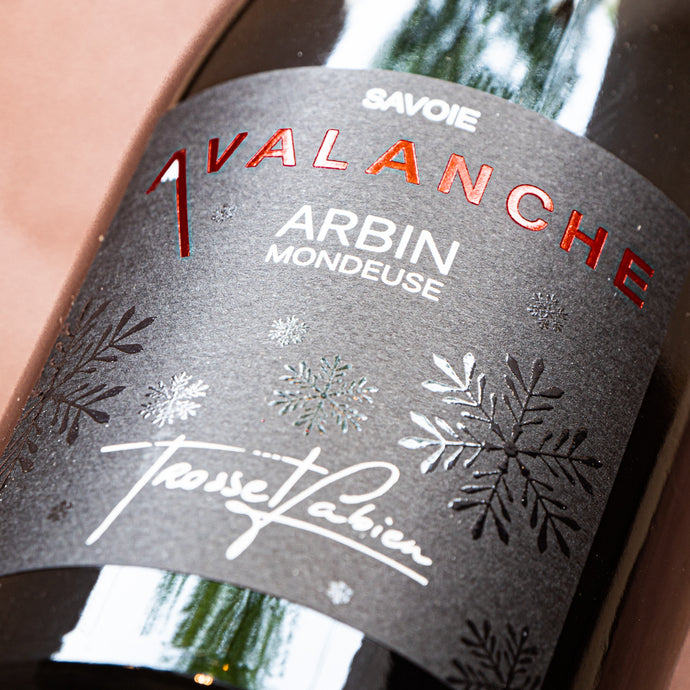 FABIEN TROSSET ARBIN MONDEUSE AVALANCHE